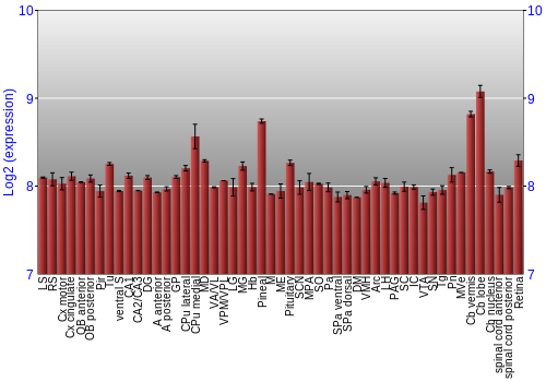 Expression graph