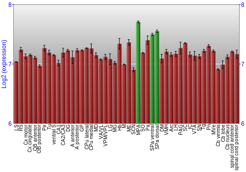 Multi-state expression graph