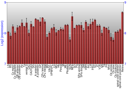 Expression graph