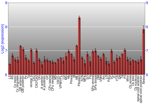 Expression graph