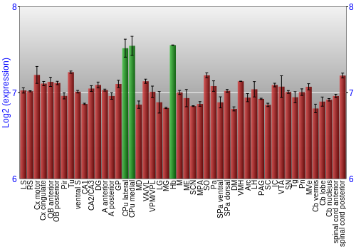 Multi-state expression graph