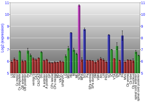 Multi-state expression graph
