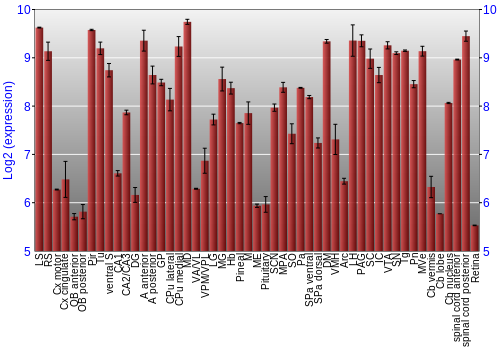 Expression graph