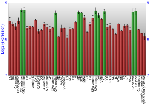 Multi-state expression graph