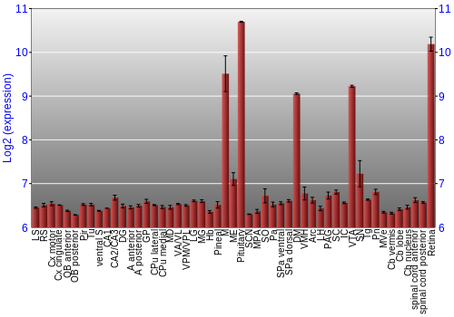 Expression graph