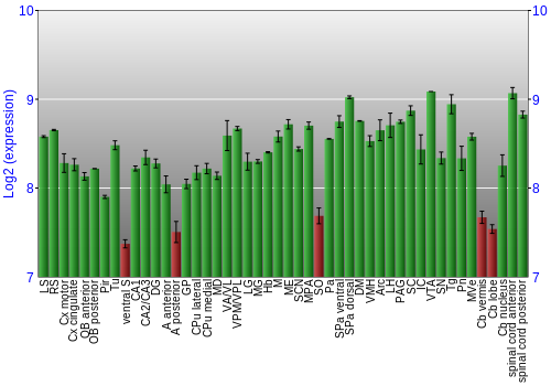 Multi-state expression graph