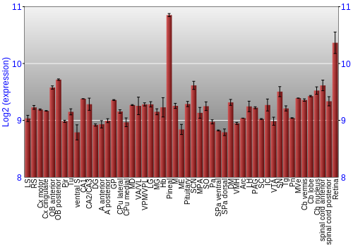 Expression graph