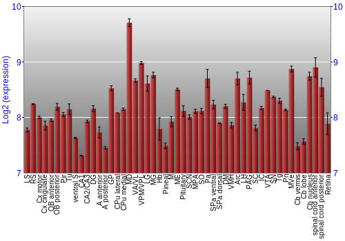 Expression graph
