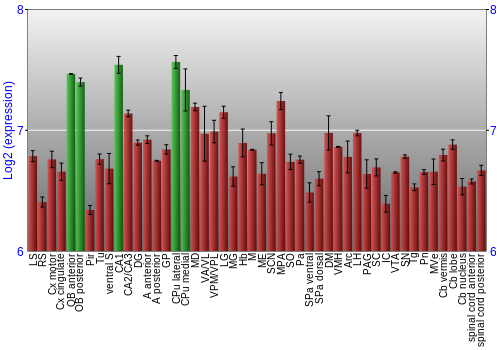 Multi-state expression graph