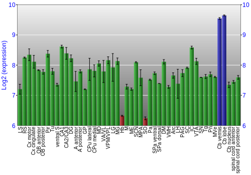 Multi-state expression graph