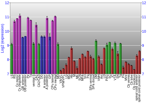 Multi-state expression graph