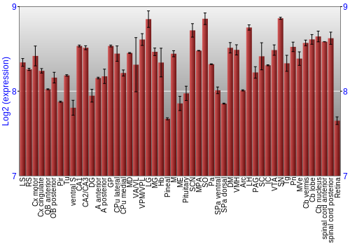 Expression graph