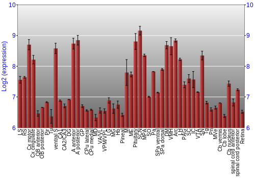 Expression graph