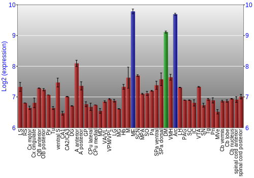 Multi-state expression graph
