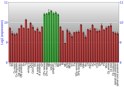 Multi-state expression graph