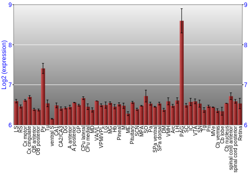Expression graph