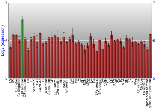 Multi-state expression graph