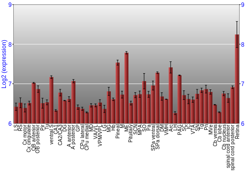 Expression graph