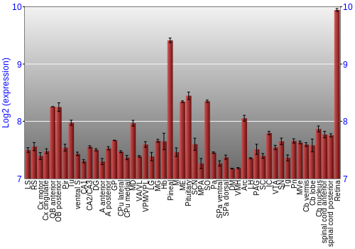 Expression graph