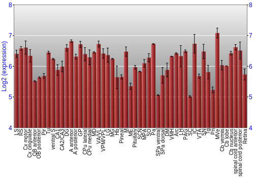 Expression graph