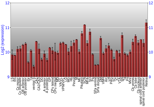 Expression graph