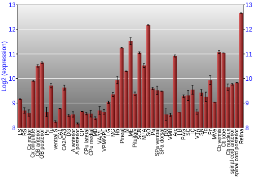 Expression graph