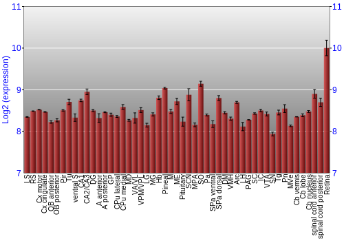 Expression graph
