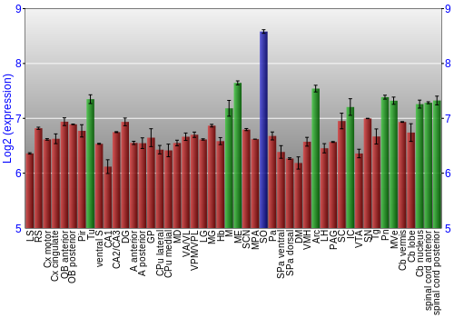 Multi-state expression graph