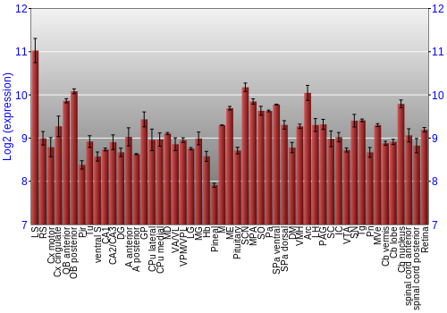 Expression graph