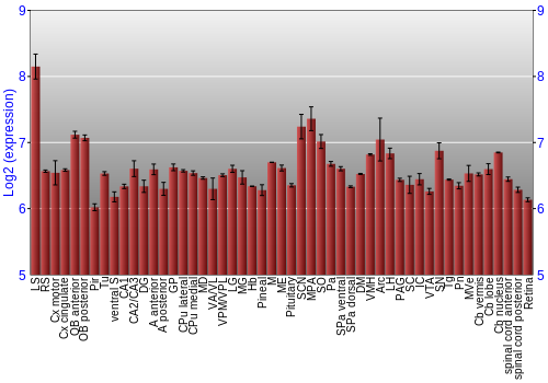 Expression graph