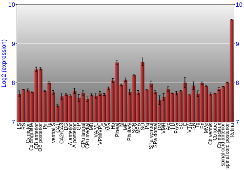 Expression graph