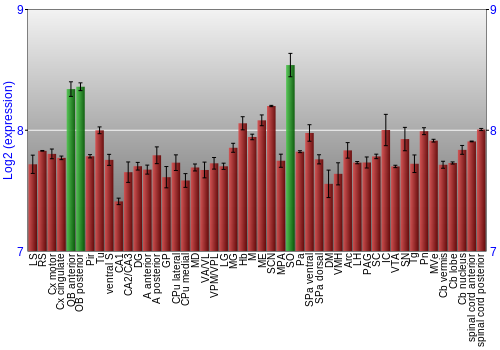 Multi-state expression graph