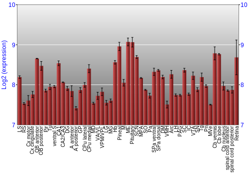 Expression graph