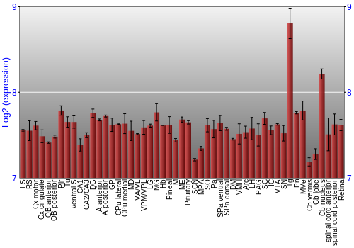 Expression graph