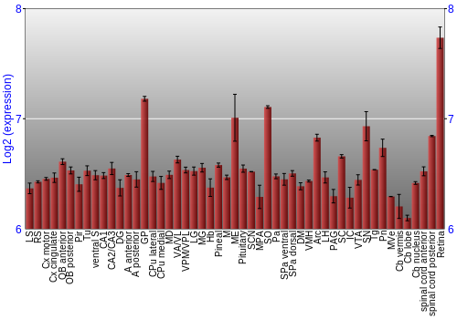 Expression graph