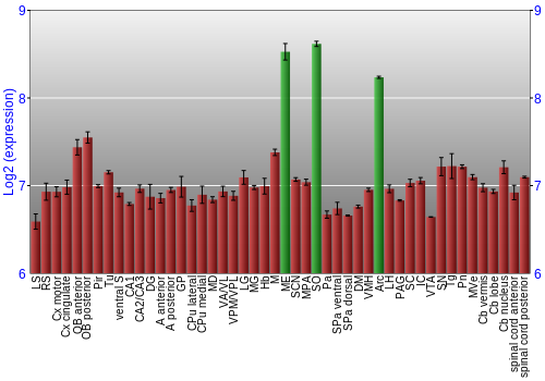 Multi-state expression graph