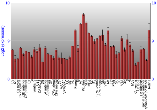 Expression graph