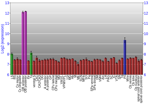 Multi-state expression graph