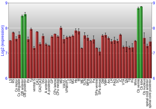 Multi-state expression graph