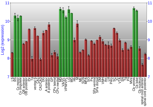 Multi-state expression graph