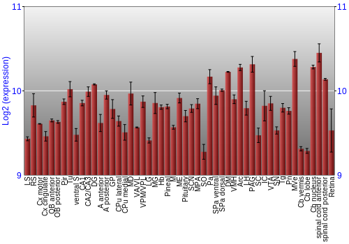 Expression graph
