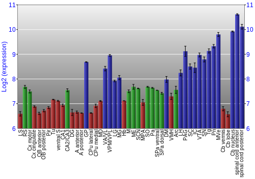 Multi-state expression graph