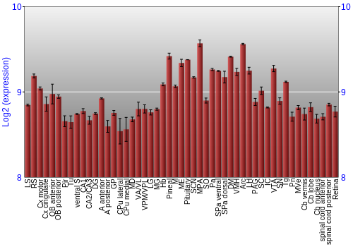 Expression graph