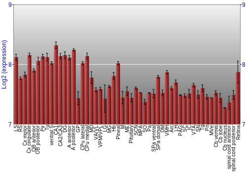 Expression graph