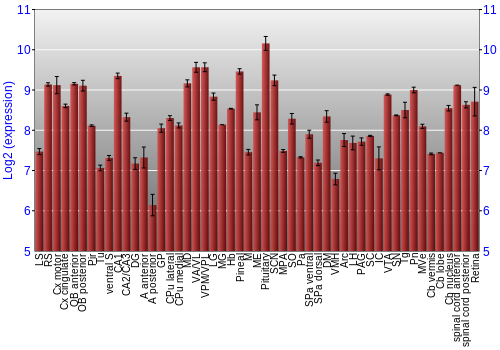 Expression graph