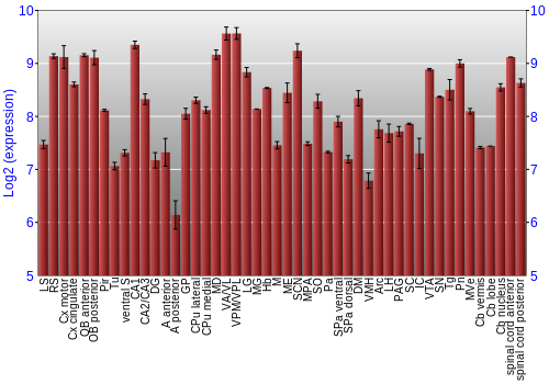 Multi-state expression graph