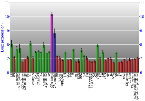 Multi-state expression graph