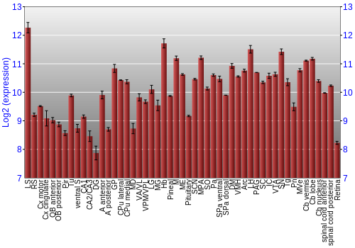 Expression graph