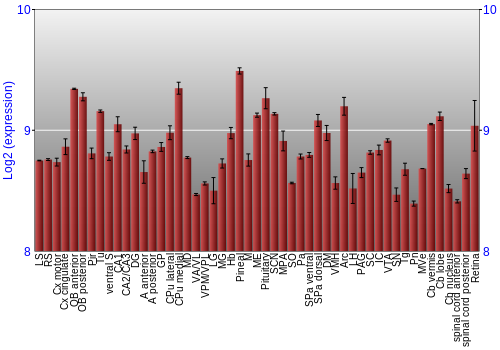 Expression graph