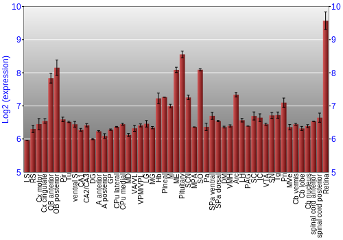 Expression graph